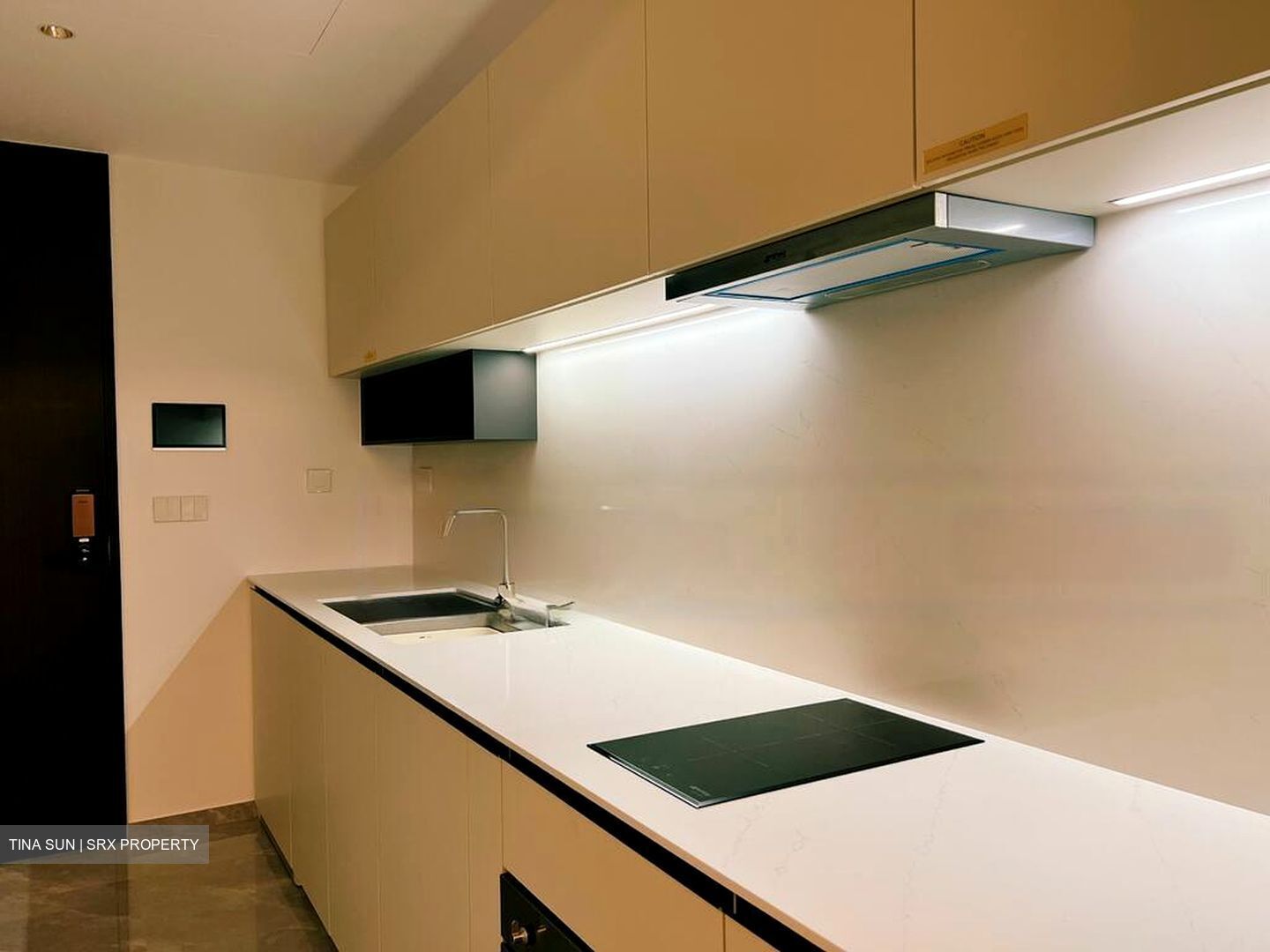 Shunfu Road (D20), Condominium #575945521
